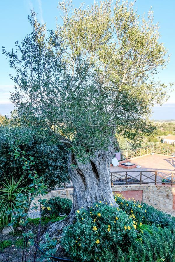 Monte Soalheiro Pensionat Zambujeira do Mar Exteriör bild