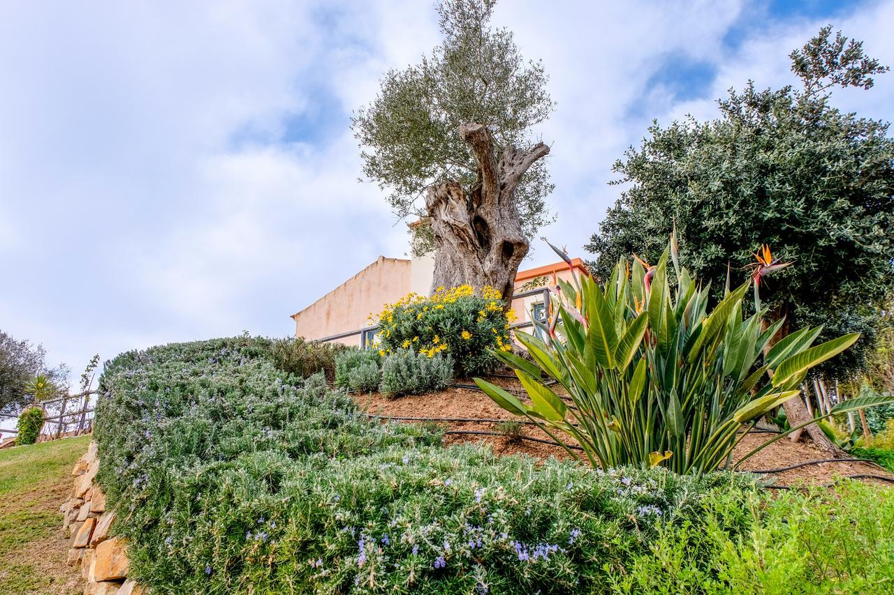 Monte Soalheiro Pensionat Zambujeira do Mar Exteriör bild